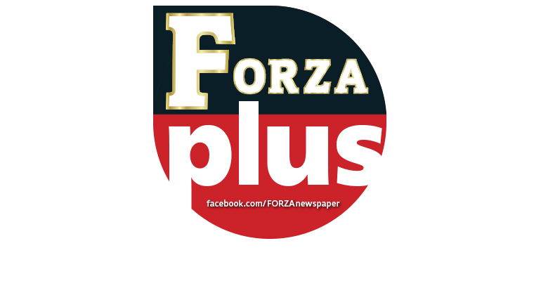 Forza plus аккумулятор ааа